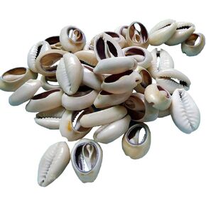 100 Pcs Natural Cowrie Shells Beads Oval Beach Seashells African Shells for Hair Jewelry Making DIY Craft