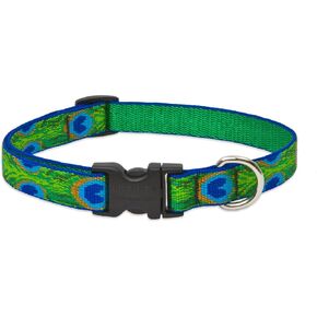 LupinePet Originals 3/4" Tail Feathers 9-14" Adjustable Collar for Small Dogs