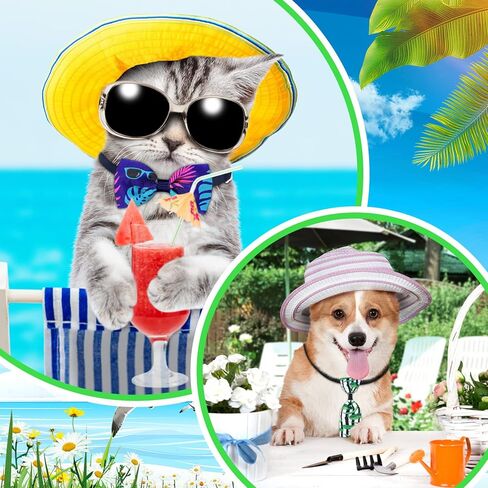 Sadnyy 240 قطعة من ربطات عنق الكلاب بكميات كبيرة تتضمن 120 ربطة عنق للكلاب و120 ربطة عنق صيفية ربيعية للكلاب، أربطة عنق للكلاب، ربطات عنق هاواي قابلة للتعديل للكلاب الصغيرة والمتوسطة والقطط in Kuwait