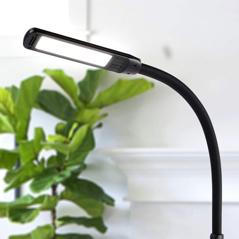 Brightech Vista 3-in-1 Desk Lamp for Living Rooms, LED Floor Lamp, Tall Lamp with Remote Control, Work Light for Documents, Standing Lamp with Flexible & Adjustable Gooseneck for Reading and Crafts in Saudi Arabia