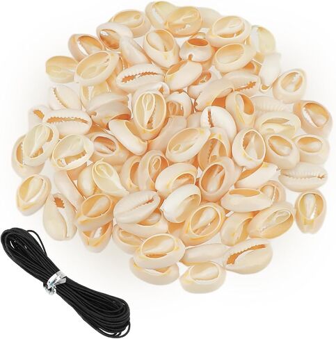 100Pcs Cowrie Shell Beads White Natural Spiral Shell Beads Sea Shells Beach Spacer Beads Charms for Summer DIY Earring Bracelet Necklace Jewelry Making in Saudi Arabia