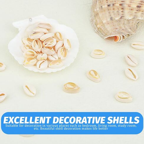 100Pcs Cowrie Shell Beads White Natural Spiral Shell Beads Sea Shells Beach Spacer Beads Charms for Summer DIY Earring Bracelet Necklace Jewelry Making in Saudi Arabia