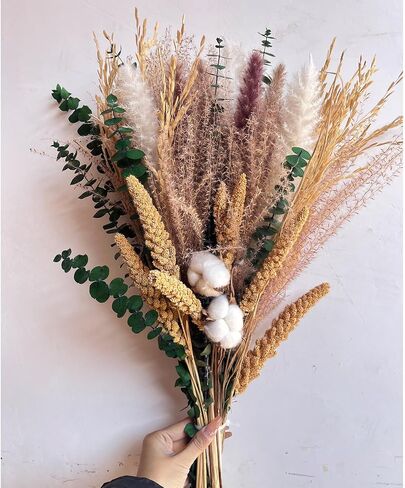 Dried Pampas Grass Decor, Natural Dried Flowers Eucalyptus Decor, Bouquet for Vase Home Floral Arrangements, Wedding Decorations (Dried Flower-01) in Saudi Arabia