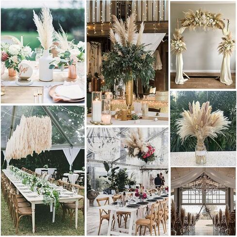 Dried Pampas Grass Decor, Natural Dried Flowers Eucalyptus Decor, Bouquet for Vase Home Floral Arrangements, Wedding Decorations (Dried Flower-01) in Saudi Arabia