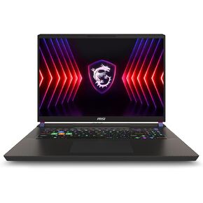 MSI Vector 17 HX 17" 240Hz QHD+ Gaming Laptop: Intel Core i9-14900HX, NVIDIA Geforce RTX 4080, 32GB DDR5, 1TB NVMe SSD, Thunderbolt 4, Cooler Boost 5, Win 11 Pro: Black A14VHG-649US