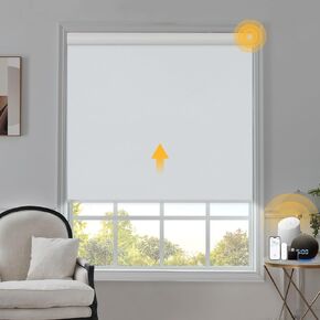 Motorized Blinds with Remote Smart Blinds for Window Blackout Roller Shades Cordless Automatic Shades Electric Blinds Compatible with Alexa & Google Assistant,Black,28" W x 72" H