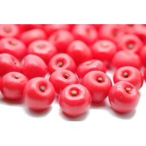 20 Psc Red Apple Dollhouse Miniatures Toys & Food Kitchen Rec by Handmade