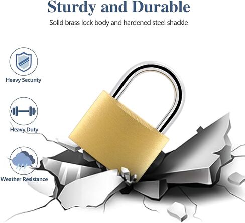 BRAXE 6 قطع قفل بمفتاح مع 6 مفاتيح نفسها مقاومة للماء، قفل نحاسي صلب صغير 1.18 بوصة 30 مم لخزانة الصالة الرياضية حقيبة الظهر الأمتعة بمشبك تخزين يلقي سياج الأدوات in Kuwait