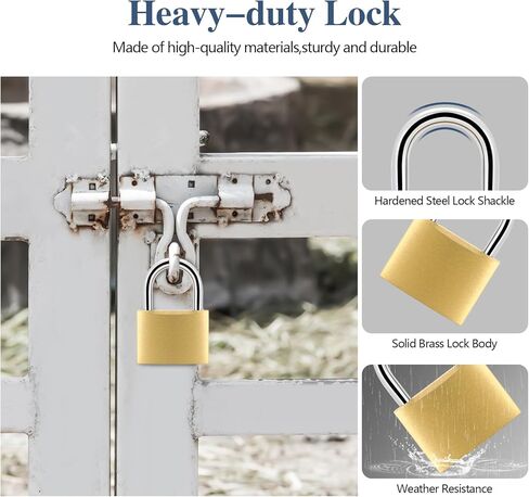 BRAXE 6 قطع قفل بمفتاح مع 6 مفاتيح نفسها مقاومة للماء، قفل نحاسي صلب صغير 1.18 بوصة 30 مم لخزانة الصالة الرياضية حقيبة الظهر الأمتعة بمشبك تخزين يلقي سياج الأدوات in Kuwait