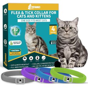 4 Pack Flea Collar for Cats, Cat Flea and Tick Collar 8 Months Cat Flea Collar Treatment Prevention, Adjustable Waterproof Cat Flea Collar Kitten Natural Tick and Flea Collar for Cat 4 Color in Kuwait