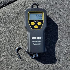 Waterproof Scale
