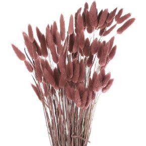 MECCANIXITY 120pcs Natural Rabbit Bunny Tails Dried Flowers 24" Mini Pampas Grass Lagurus Ovatus Bunch for Floral Wedding Decor Christmas, Red