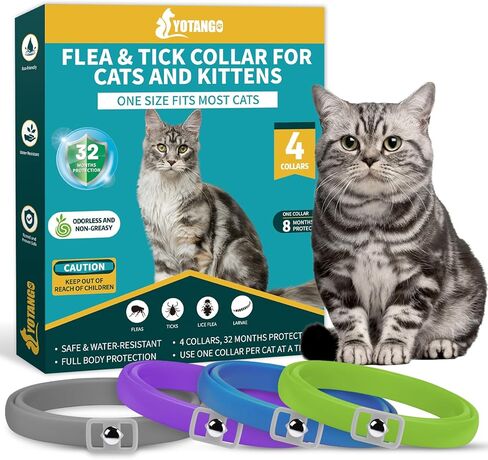 4 Pack Flea Collar for Cats, Cat Flea and Tick Collar 8 Months Cat Flea Collar Treatment Prevention, Adjustable Waterproof Cat Flea Collar Kitten Natural Tick and Flea Collar for Cat 4 Color in Kuwait
