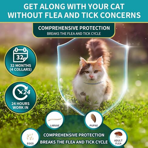 4 Pack Flea Collar for Cats, Cat Flea and Tick Collar 8 Months Cat Flea Collar Treatment Prevention, Adjustable Waterproof Cat Flea Collar Kitten Natural Tick and Flea Collar for Cat 4 Color in Kuwait