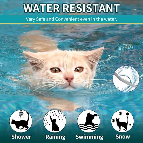 4 Pack Flea Collar for Cats, Cat Flea and Tick Collar 8 Months Cat Flea Collar Treatment Prevention, Adjustable Waterproof Cat Flea Collar Kitten Natural Tick and Flea Collar for Cat 4 Color in Kuwait