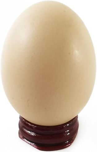 10 قطع من حوامل البيض الخشبية تعرض قاعدة بيضة كروية لديكور حجر الكرة الكريستالية in Kuwait