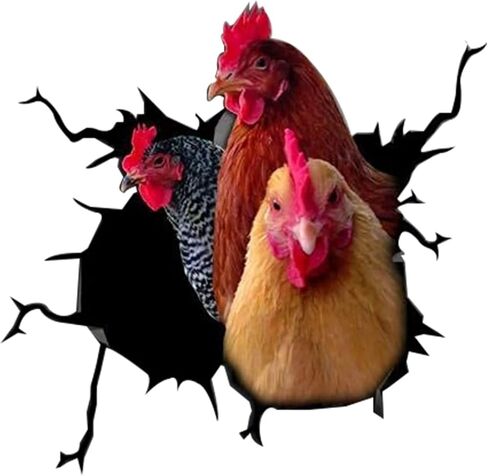 3D Chicken Decals Sticker Funny Animal Window Car Sticker Poultry Crack Car Decals Rear Window Stickers for Wall Car Glass Bumper Refrigerator Laptop etc (10 * 10inch) in Saudi Arabia