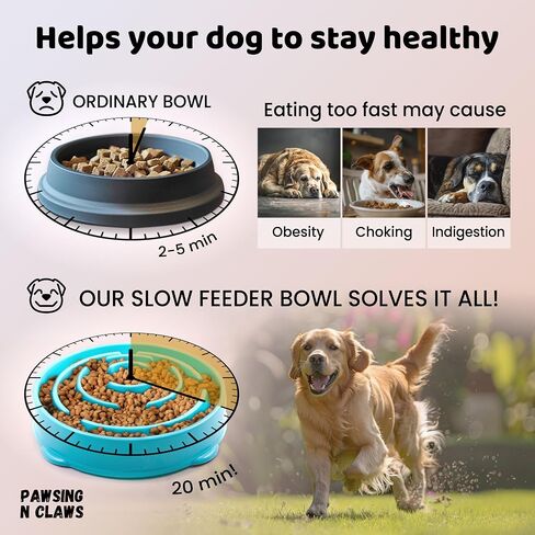 Slow Feeder Dog Bowls - Anti-Choking & Non Slip Interactive Dog Feeding Bowls for Dry/Wet Food That Slow Down Eating - Maze Puzzle Design Bowl - Medium Regular (Turquoise) in Saudi Arabia