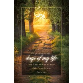 Funeral Bulletin -"Days of My Life" - KJV - (Package of 100)