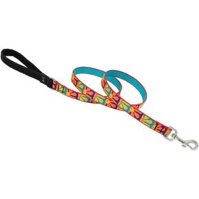 LupinePet Originals 3/4" Crazy Daisy 4-Foot Padded Handle Leash for Medium and Larger Dogs