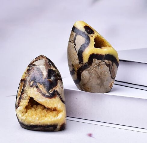 Natural Septarian Geode Cluster Polished Healing Crystal Stone Collection Septarium Mineral SpecimenHome Office Decor 0.6-0.8 Pound in Saudi Arabia