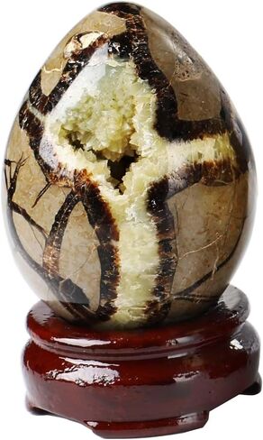 Natural Septarian Geode Cluster Polished Healing Crystal Stone Collection Septarium Mineral SpecimenHome Office Decor 0.6-0.8 Pound in Saudi Arabia