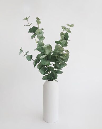 آني وباندا 2 عبوة من سيقان الأوكالبتوس الصناعية | فروع فو جرينيري | نبات صناعي نابض بالحياة لديكور المنزل وحفلات الزفاف والمناسبات - صيانة منخفضة وواقعية - 38.5 بوصة in Kuwait