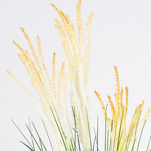 نباتات اصطناعية 6 قطع 27 بوصة عشب طويل القامة عشب بصل صناعي، نبات عشب صناعي، شجيرات عشبية وهمية للأماكن الداخلية والخارجية والحديقة والمتجر والمكتب وديكور المنزل in Kuwait