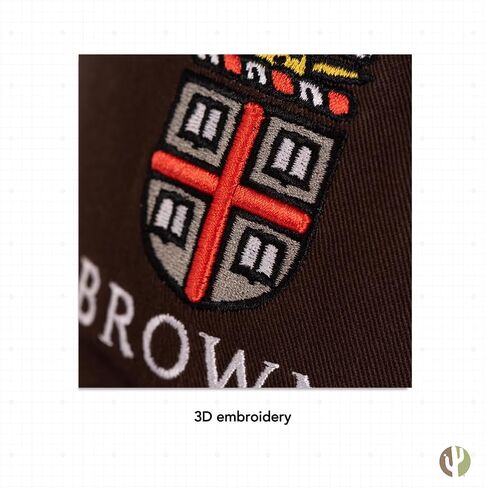 Desert Cactus Brown University Baseball Hat Bears Brimmed Embroirderd Cap Adjustable Cloth Strap Adult (Style B) in Saudi Arabia