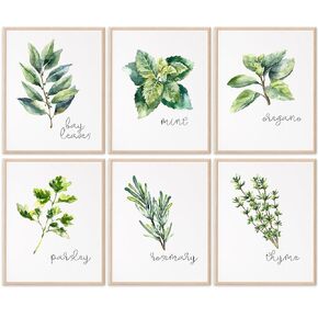 Kitchen Herbs Art Prints - Botanical Prints - (Set of 6) - Unframed - 8x10s | Dining Room Decor - Gifts for Chef or Cook - Restaurant Decor - Rosemary, Thyme, Mint, Parsley, Oregano, and Bay Leaves