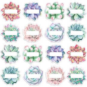 Whaline 80Pcs Succulent Cutout Name Tag Stickers 8 Designs Rustic Bloom Classroom Blank Nameplate Sticker Bulletin Board Decoration Label Stickers for Summer Office School,10 Sheet