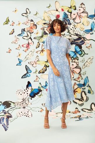 Maggy London Flutter Sleeve Burnout Midi Semi Formal Wedding Guest Dresses for Women in Saudi Arabia