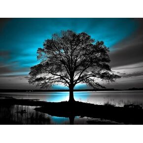 UPABLUNSO DIY 5D Diamond Art Kits Painting for Adults Black and White Tree Under Sunset Black and Teal 30x40cm/11.7x15.8inches