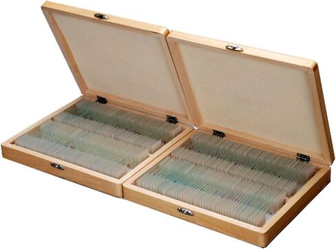 AmScope PS200 Basic Biology Prepared Slide Set for Student and Homeschool Use, Set of 200 Prepared Glass Slides, Includes Fitted Wooden Storage Box in Saudi Arabia
