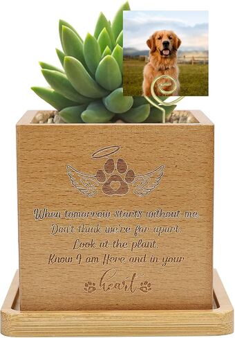 Wooden Plant Pot, 3.14 inches, Square, for Pet Memorial, Breathable, Outdoor Indoor Usage in Saudi Arabia
