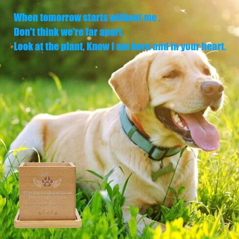 Wooden Plant Pot, 3.14 inches, Square, for Pet Memorial, Breathable, Outdoor Indoor Usage in Saudi Arabia
