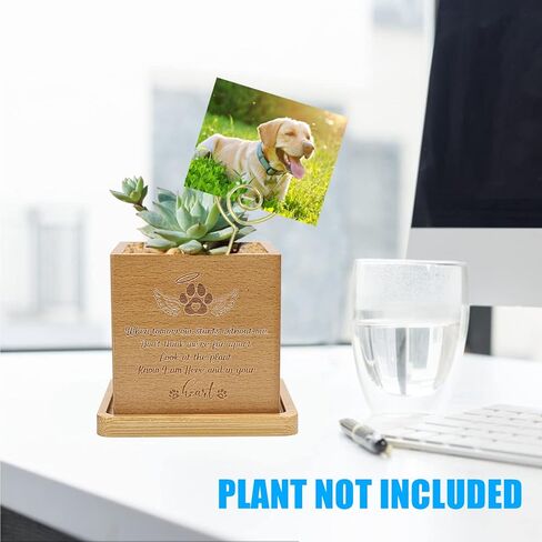 Wooden Plant Pot, 3.14 inches, Square, for Pet Memorial, Breathable, Outdoor Indoor Usage in Saudi Arabia