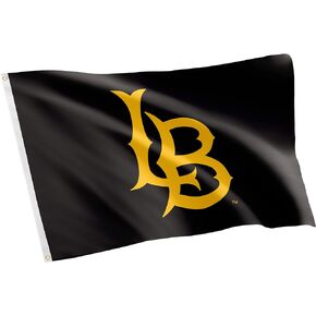 Desert Cactus Cal State Long Beach Flag University California Dirtbags LBSU CSULB Flag Banners 100% Polyester Indoor Outdoor 3x5 feet Flags (Style 3)