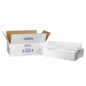 Aviditi Insulated Carton with Foam Shipping Kit, 19 1/2" x 11 1/2" x 4 1/8", White, for Shipping Temperature Sensitive Items (1 Kit) (260C)