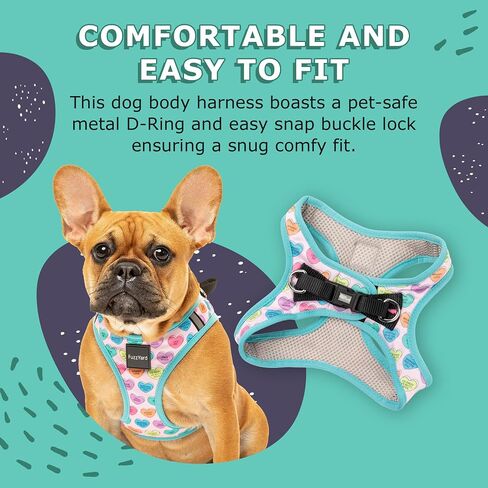 FuzzYard Candy Hearts Step in Dog Harness | Size S | Comfortable Fit for Everyday Walking & Training in Saudi Arabia