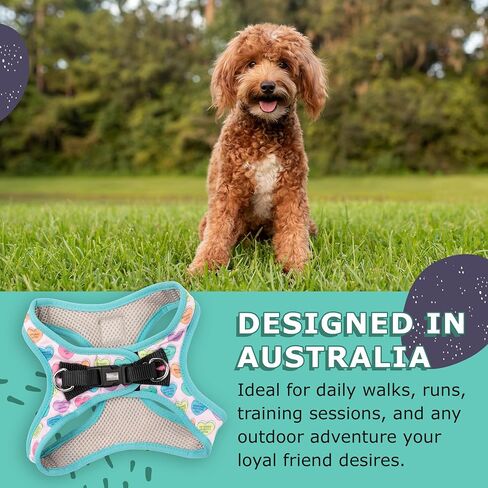 FuzzYard Candy Hearts Step in Dog Harness | Size S | Comfortable Fit for Everyday Walking & Training in Saudi Arabia