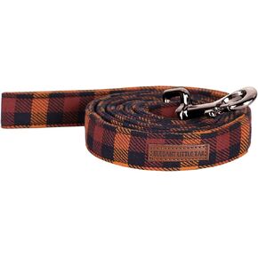 Elegant little tail Dog Leash, Strong and Durable Traditional Style Dog Leash, Webbing Dog Leashs, Soft Walking Pet Leash for Small Medium Large Dogs