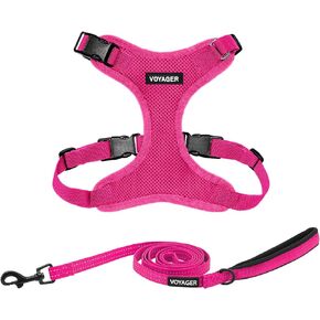 Voyager Step-in Lock Dog Harness w Reflective Dog Leash Combo Set with Neoprene Handle 5ft - Supports Small, Medium and Large Breed Puppies/Cats by Best Pet Supplies - Fuchsia, L