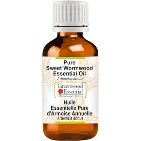 Pure Sweet Wormwood Essential Oil (Artemisia annua) Steam Distilled 50ml (1.69 oz)
