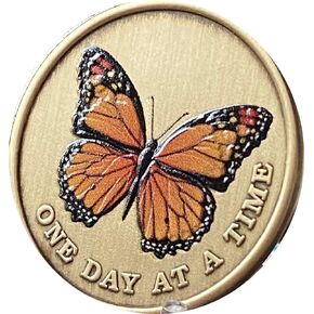 Orange Monarch Butterfly One Day at A Time Medallion Serenity Prayer Bronze Chip