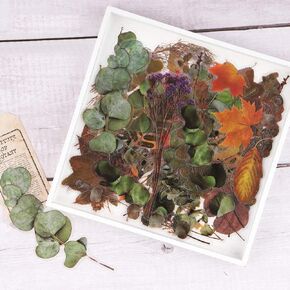 80 PCS Large Vintage Fall Leaf Stickers, Flower and Leaves Stickers Set, Autumn PET Transparent Decorative Flowers and Plant Series Eucalyptus Decals for Scrapbook, Planner, Bullet Journal