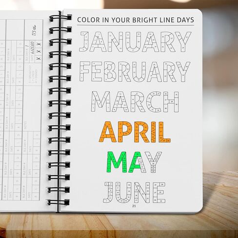 Official Food Journal | Daily Meal Planner and Food Journal for Bright Line Eaters | 90 Days | Black | Use to Stay Accountable and Track Food, Water, and Weight Loss (Black) in Saudi Arabia