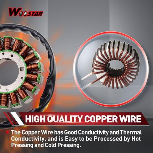 WOOSTAR 18 Coil Magneto Stator Replacement for Suzuki DR250R DRZ250 DRZ400 DR-Z 400 DRZ400SM DRZ400S DRZ400E Engine in Saudi Arabia
