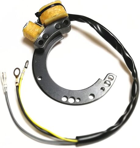 Stator for Mercury 18-5864 174-6617K1 Outboard 6 8 9.9 10 15 18 20 Jet 25 35 40 HP for 86617A20 86617A2 86617A3 86617A5 86617A9 86617A11 86617A13 2 Cylinder in Saudi Arabia