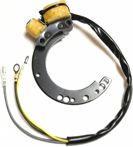 Stator for Mercury 18-5864 174-6617K1 Outboard 6 8 9.9 10 15 18 20 Jet 25 35 40 HP for 86617A20 86617A2 86617A3 86617A5 86617A9 86617A11 86617A13 2 Cylinder in Saudi Arabia